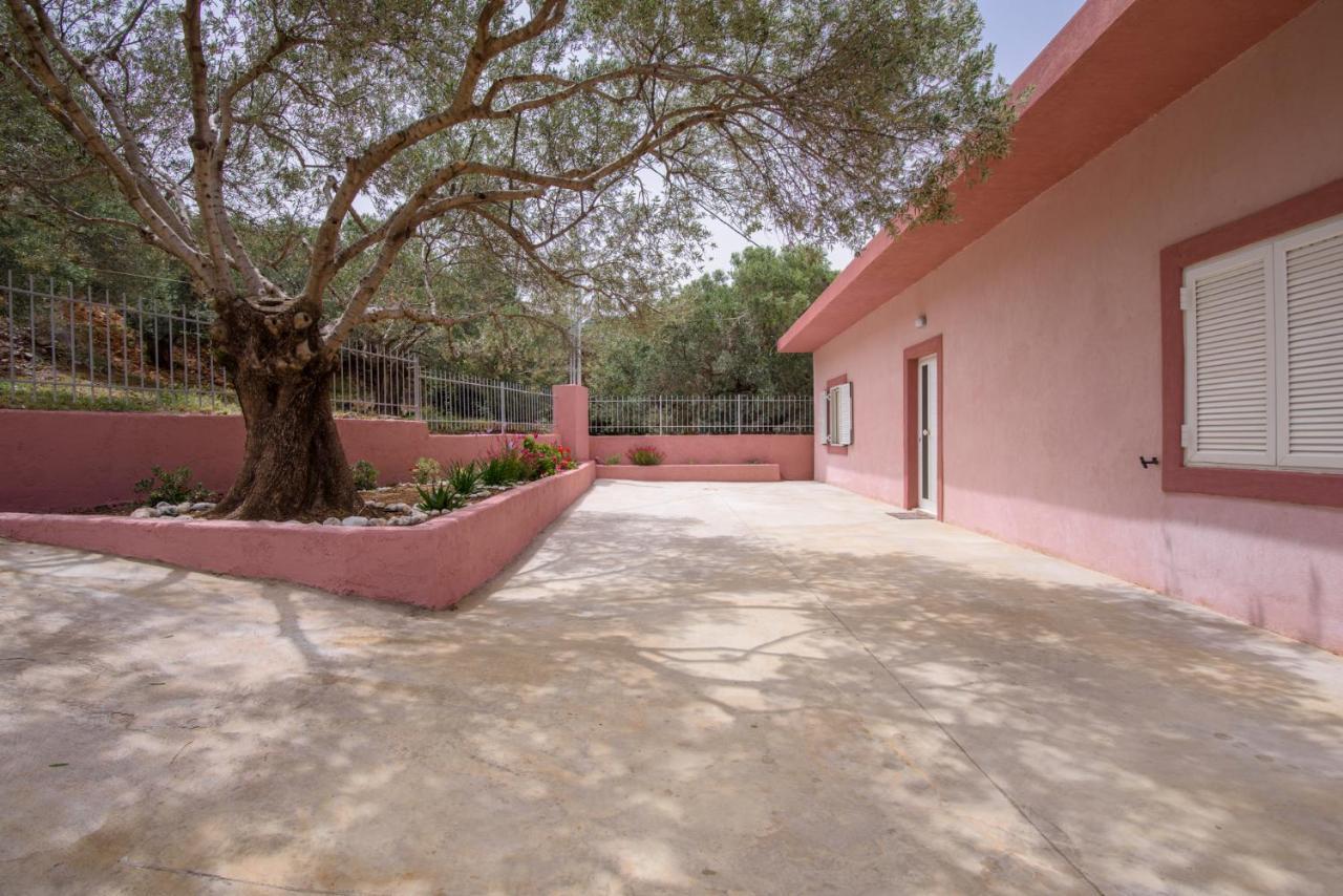 Palm Beach House Sfinárion Exterior foto